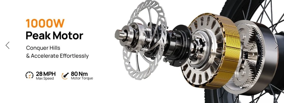 Fat Tire Off Road Electric Bike suppliers