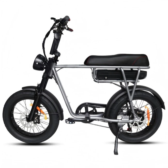 Folding Electric Road Bike